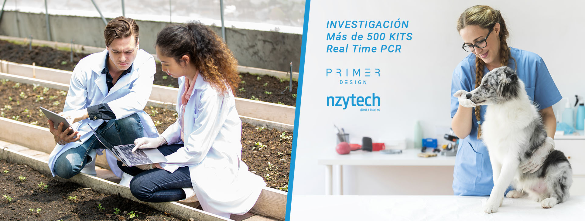 INVESTIGACIÓN Mas de 500 KITS Real Time PCR